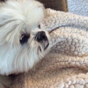 Meet your Posher, Janet